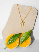 Load image into Gallery viewer, MINI Akshar Necklace
