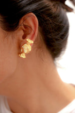 Load image into Gallery viewer, Caramel Toffs Small