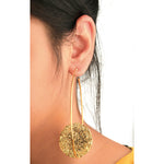 Load image into Gallery viewer, Cracker Hoops