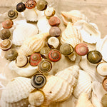 Load image into Gallery viewer, Fishella Small Hoops